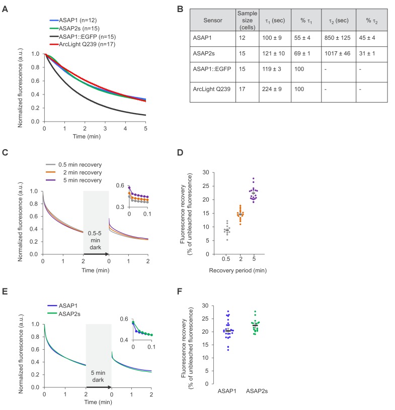 Figure 1—figure supplement 3.