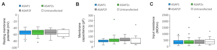 Figure 4—figure supplement 1.