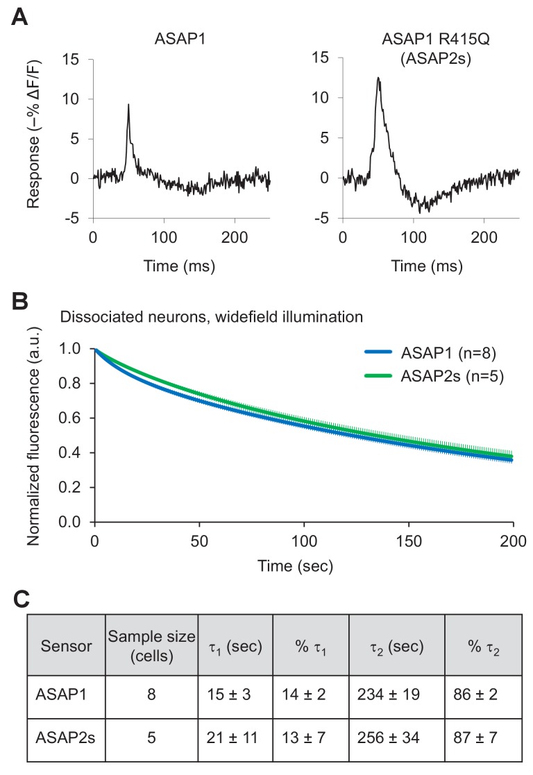 Figure 2—figure supplement 3.