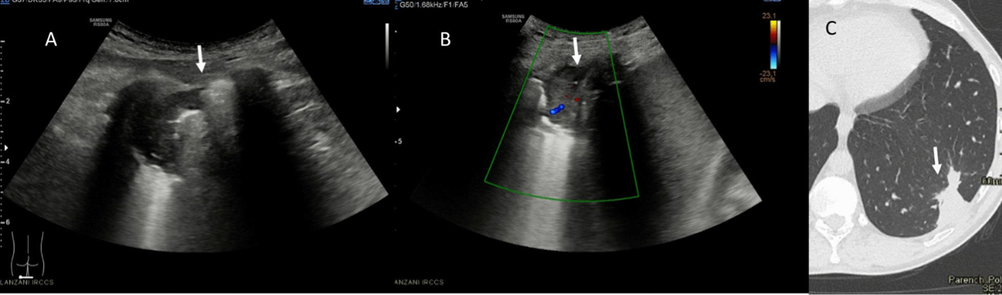 Fig. 5