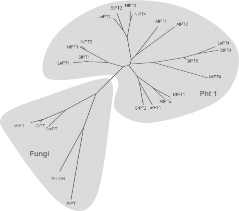 FIGURE 1.