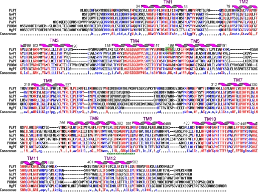 FIGURE 3.