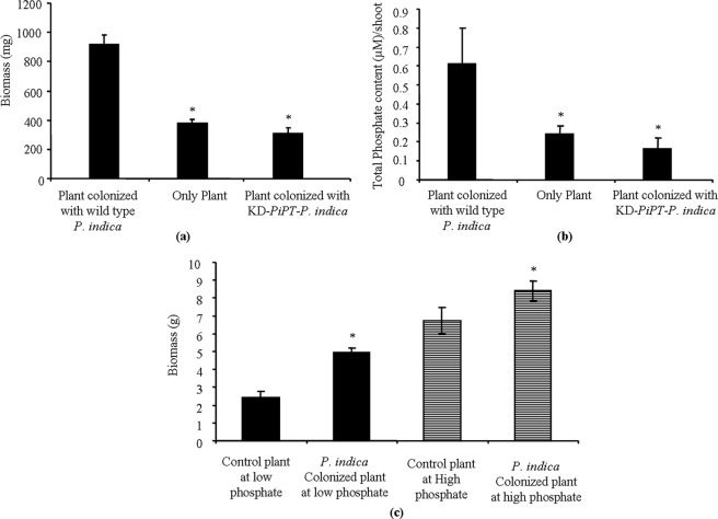 FIGURE 11.