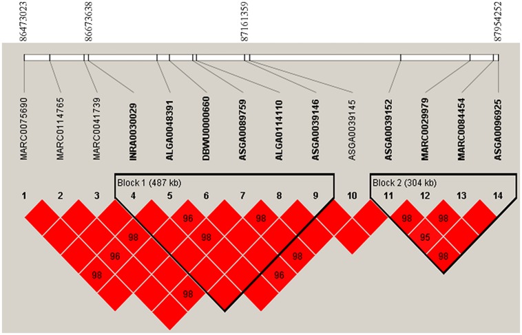 FIGURE 3