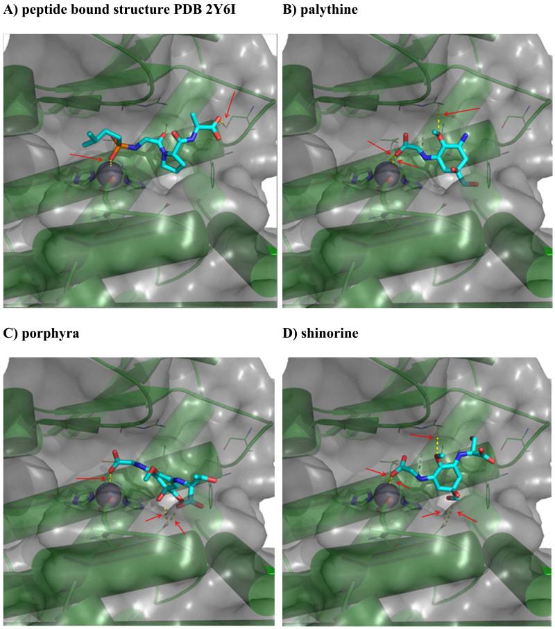 Fig. 6)