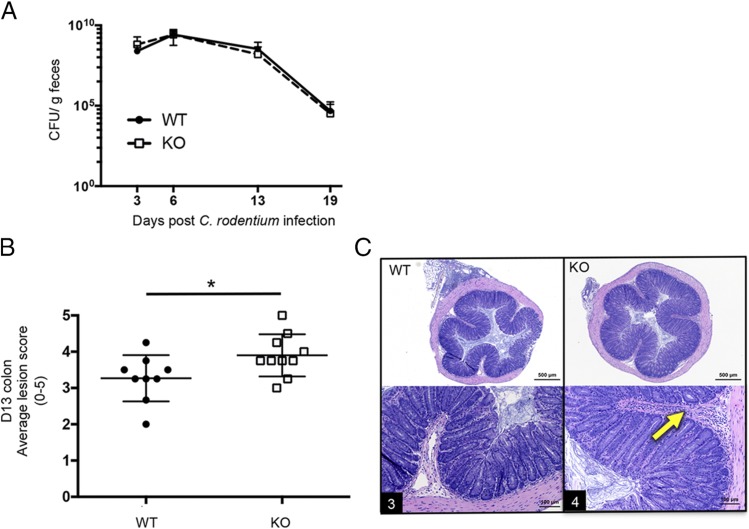 FIGURE 2.