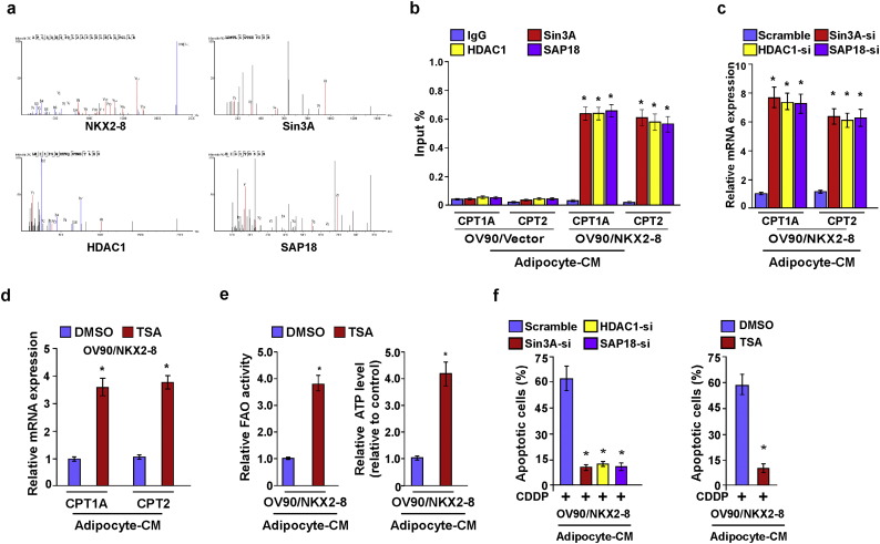 Supplementary Fig. S5