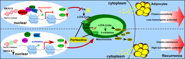 Unlabelled Image