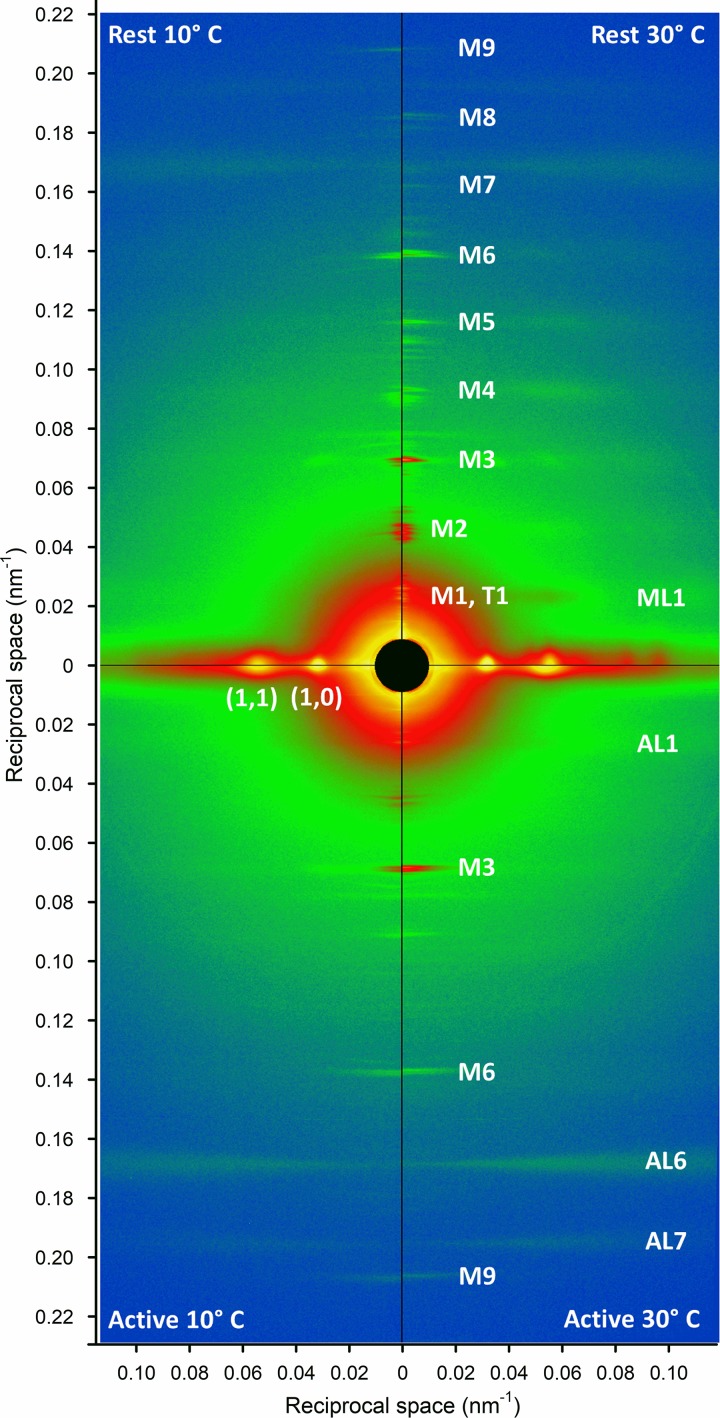 Figure 2.