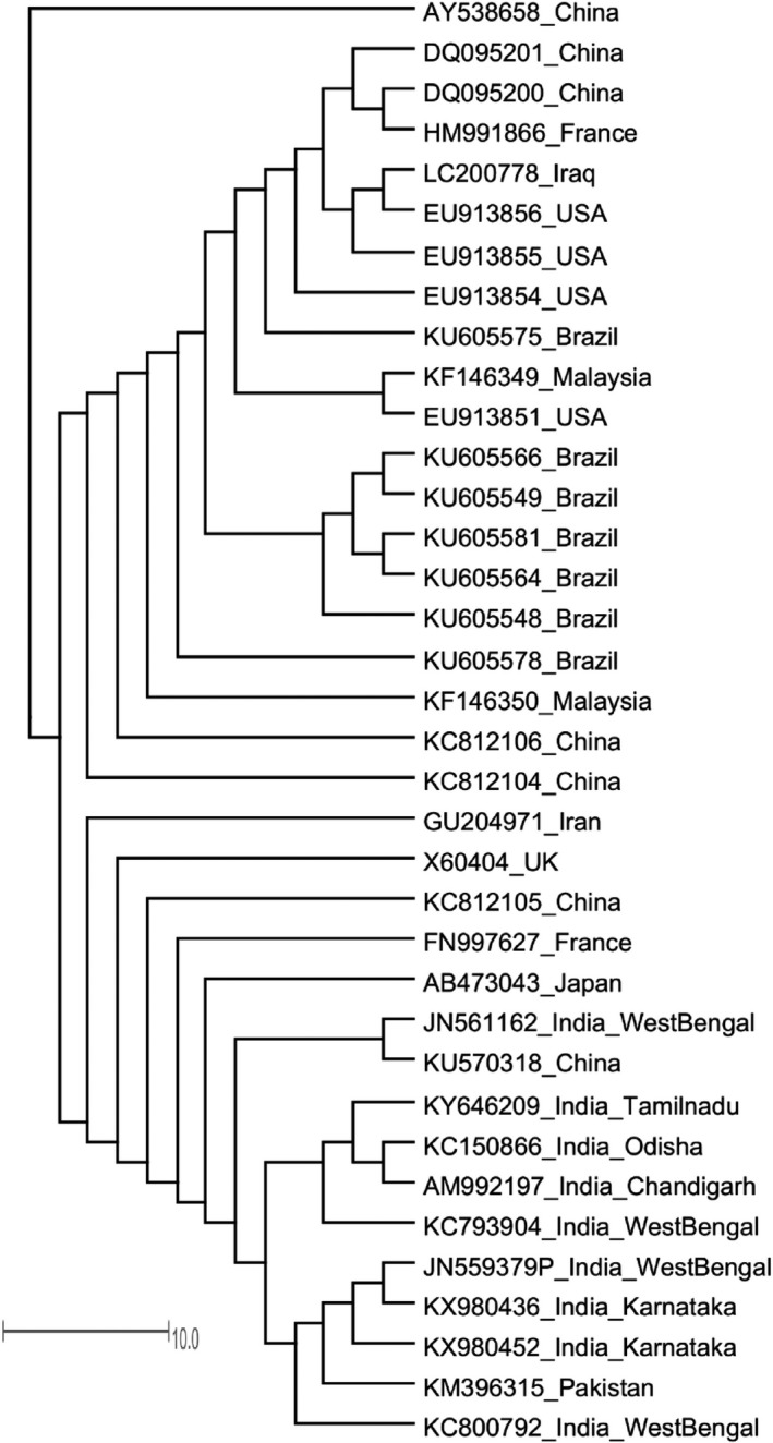 Figure 3