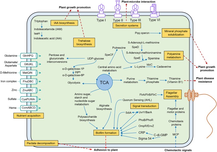 FIG 4