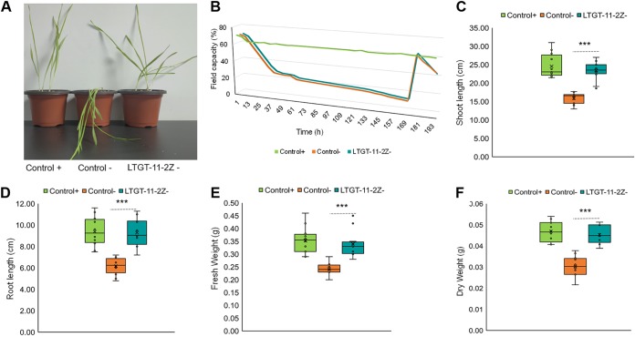 FIG 2