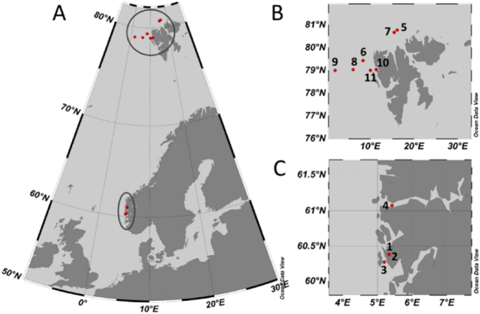 Fig. 1