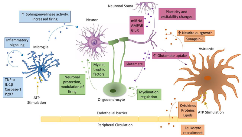 Figure 1: