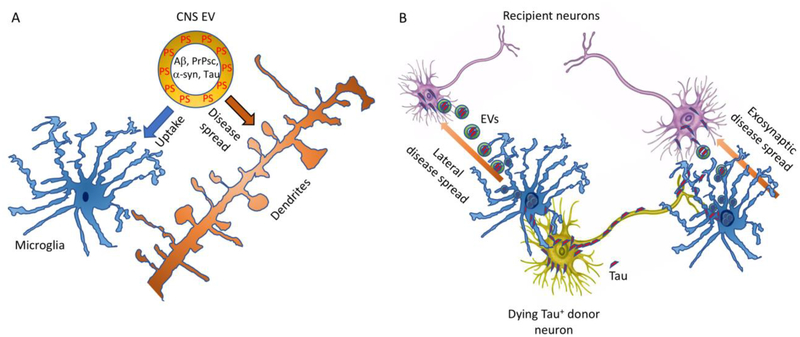 Figure 2: