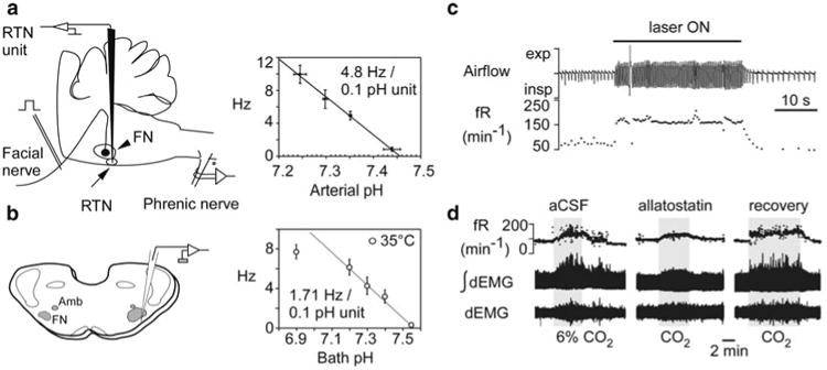 Fig. 16.2