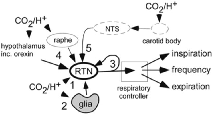 Fig. 16.3