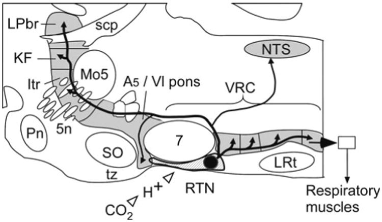 Fig. 16.1