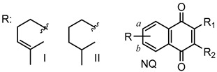 graphic file with name molecules-24-01279-i001.jpg