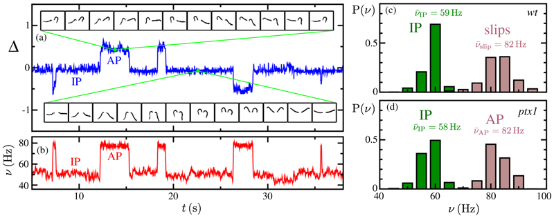 Fig. 2