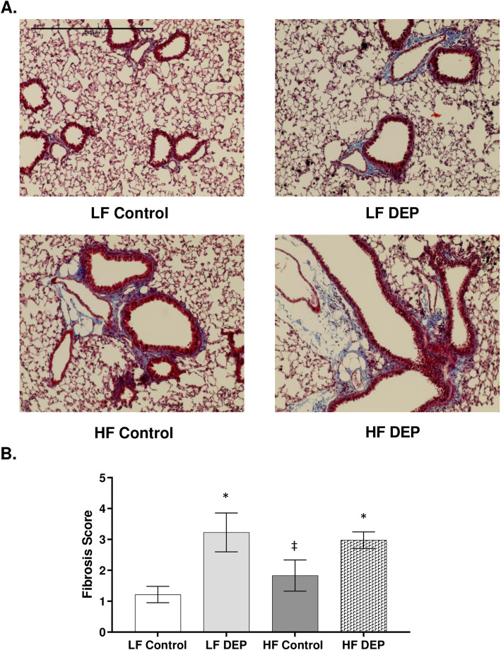 Fig. 11