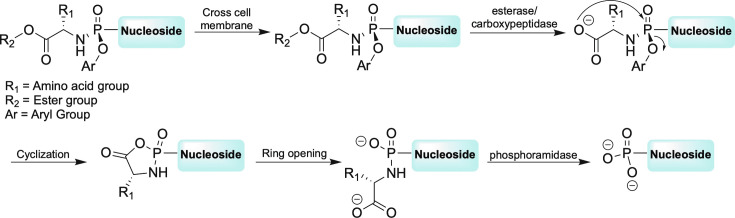 Fig. 9