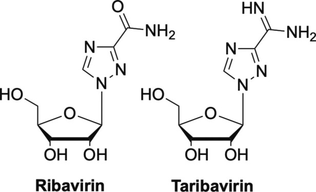 Fig. 12