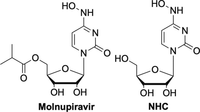 Fig. 13