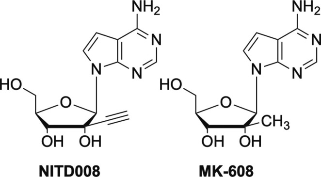 Fig. 19