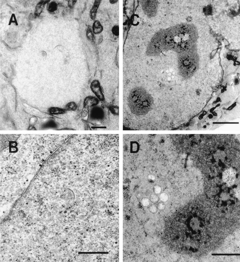 FIG. 8