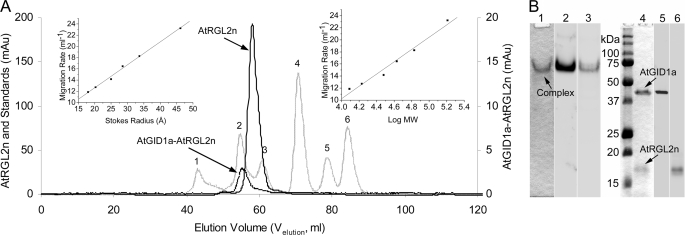 FIGURE 3.