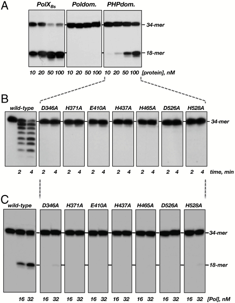 Fig. 5.