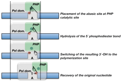 Fig. 6.