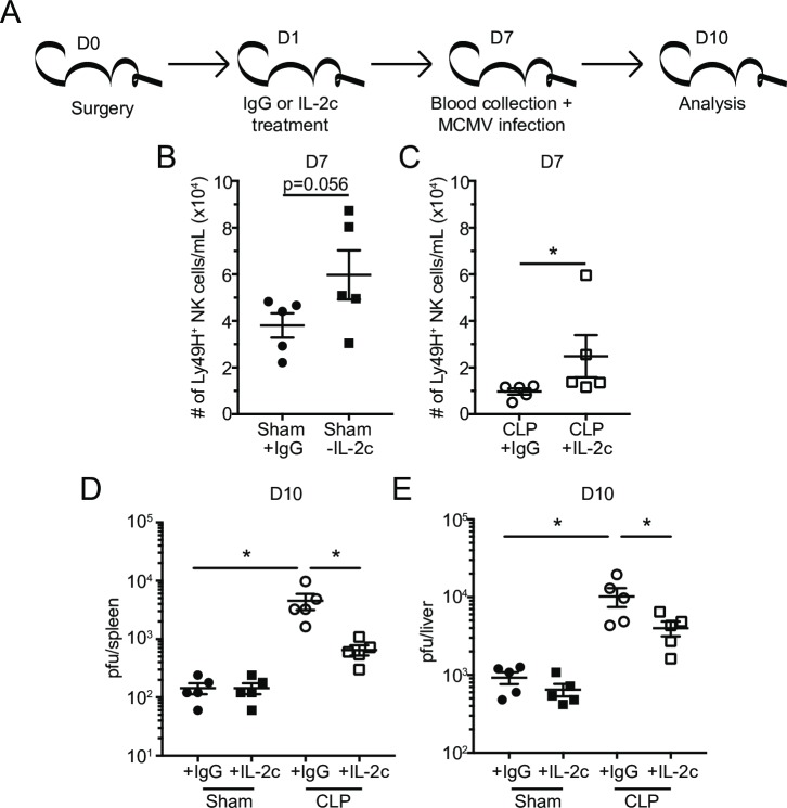 Fig 13