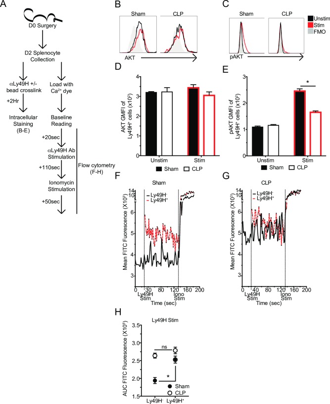 Fig 8