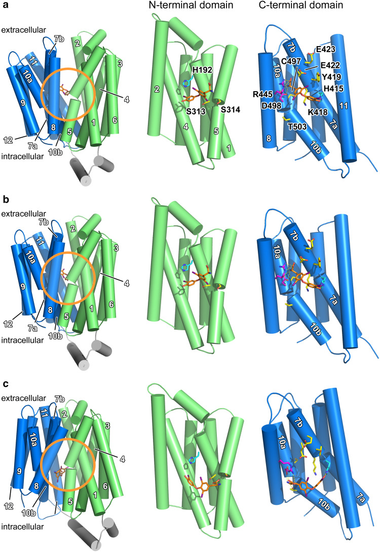 Fig. 10