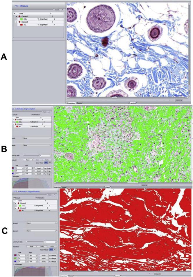 Figure 4