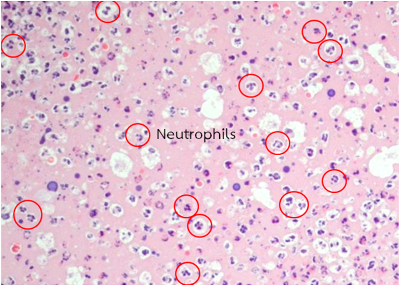 Figure 2