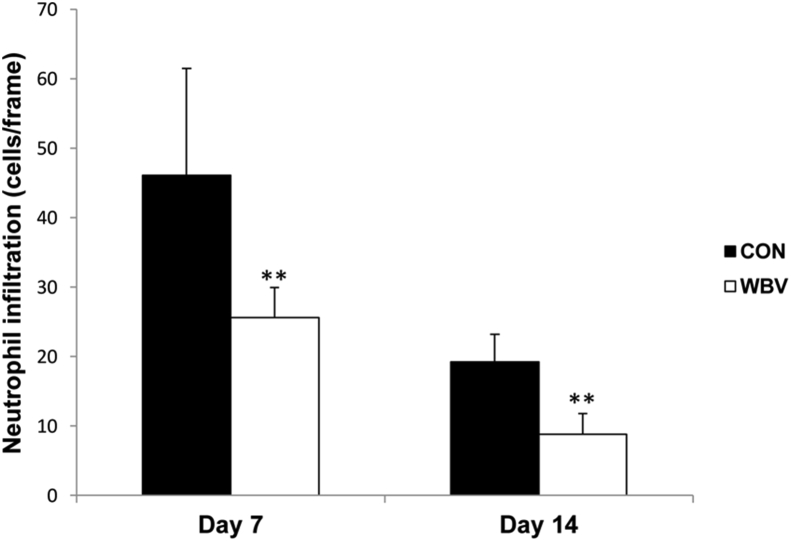 Figure 6