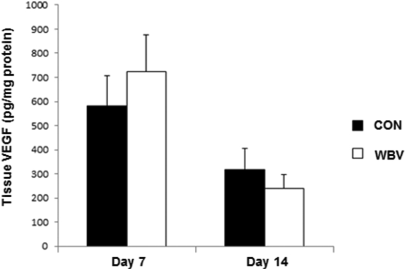 Figure 11