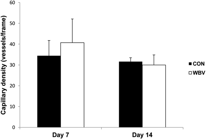 Figure 7