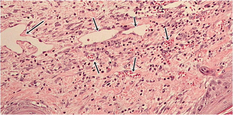 Figure 3