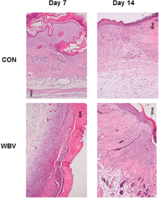 Figure 9