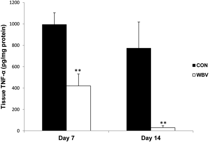 Figure 10