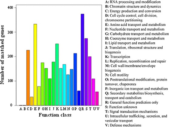 Fig. 4