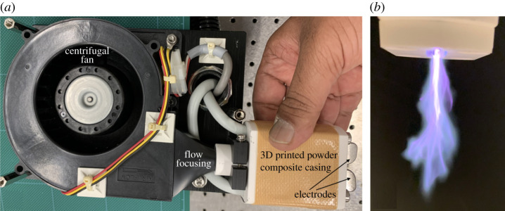 Figure 3. 