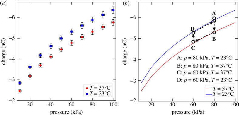 Figure 10. 