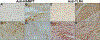 Fig. 9.