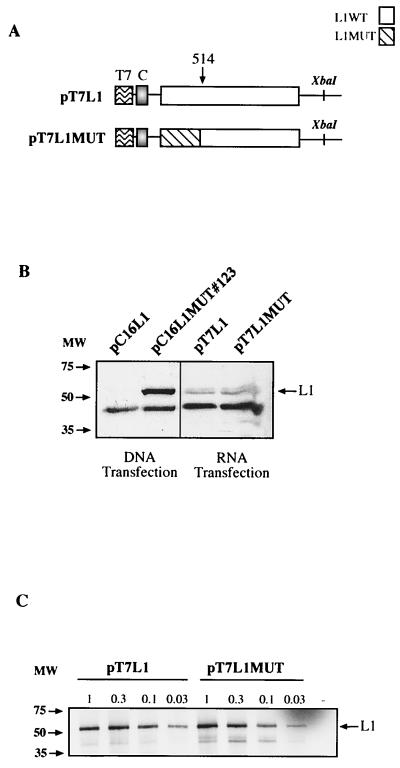 FIG. 10.