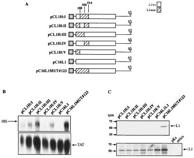 FIG. 6.